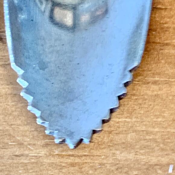 Vintage Grapefruit Spoon Wooden Handle Japan Stainless MCM Serrated Spoon - Picture 9 of 9